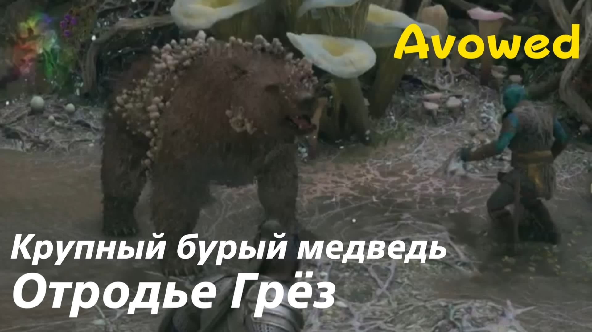 Avowed - босс Крупный бурый медведь Отродье Грёз (PS5 Pro)