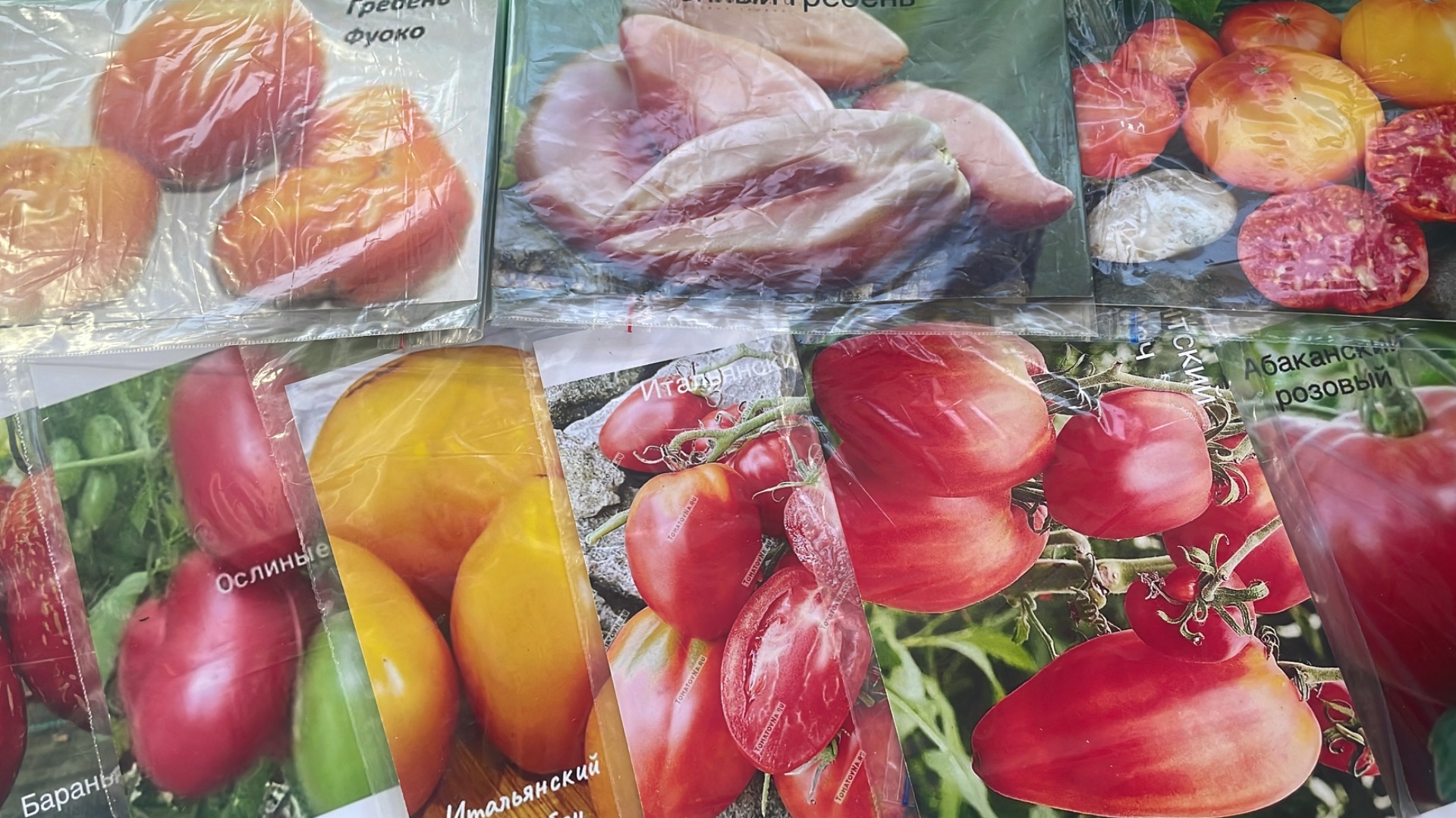 Посев томатов на рассаду для теплицы. смотреть онлайн