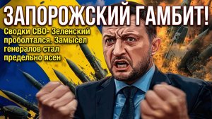 Запорожский гамбит! Сводки СВО-  Зеленский проболтался. Замысел генералов стал предельно ясен