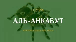 29 Аль-Анкабут Мишари Рашид