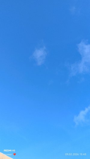 Я пришла со школы