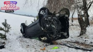 Синь на Каршеринге! Февральнутые Торопыги и Водятлы! ДТП