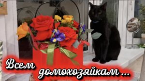 Мейн-кун Боня: Идеальная домохозяйка. Песня про домохозяйку. Черная кошка мейн кун. Кот и пылесос