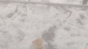 19 февраля  мои синички....