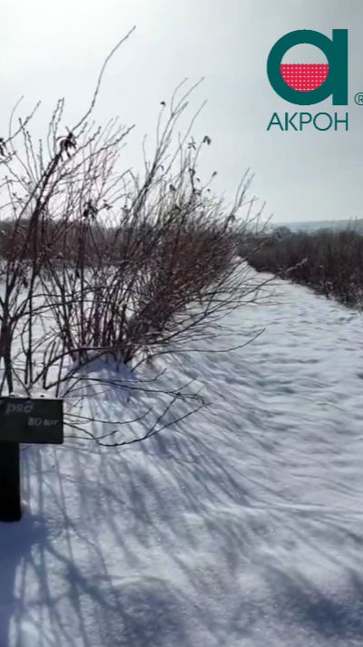 #Акрон в полях. Голубика. Невинномысск.