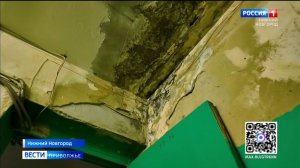 Когда в доме от влажности растут грибы