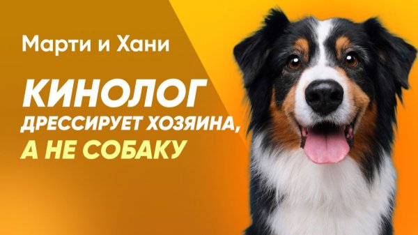 КИНОЛОГ ТРЕНИРУЕТ НЕ СОБАКУ, А ХОЗЯИНА / КАК НА САМОМ ДЕЛЕ РАБОТАЕТ ДРЕССИРОВКА И ПОСЛУШАНИЕ?