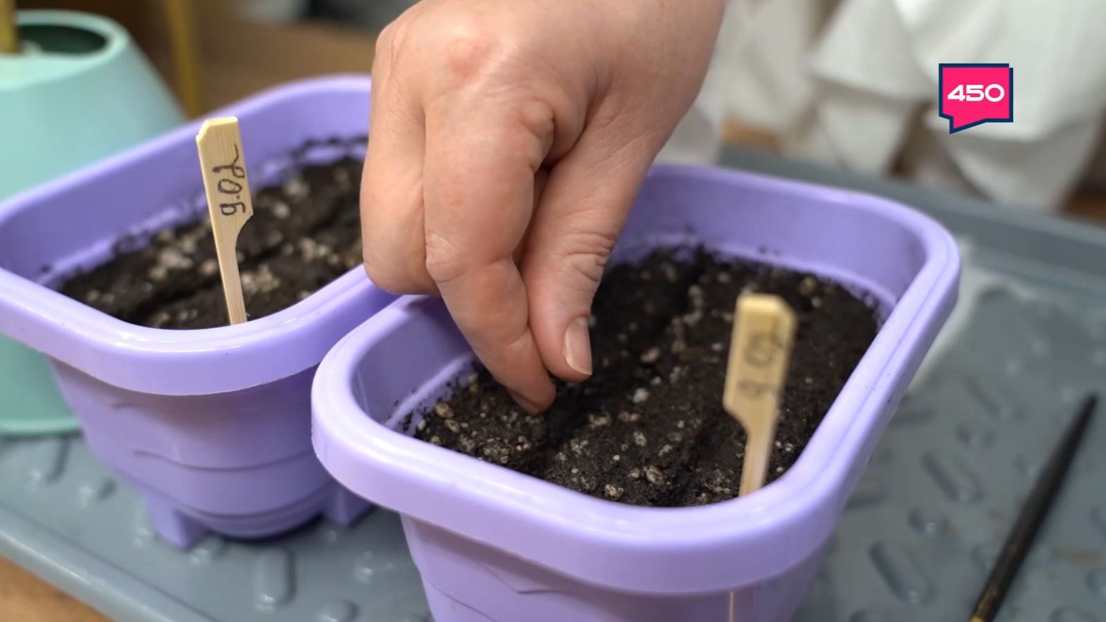 Подбираем удобрение для подкормки рассады. Дачные сезоны