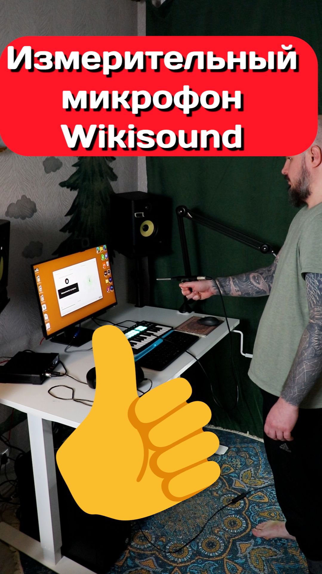 🎤 Отзыв об измерительном микрофоне Wikisound для корректировки АЧХ