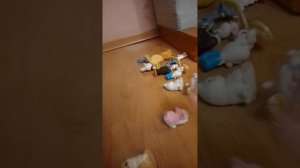 лщрцург8ууйищгхцгщпщоцкоца8ушгуйгхпг8пцхгу8г8х8гйцгойцщощнкупгощупш йога школы упщ оз зпцкпуцщзпуцлц