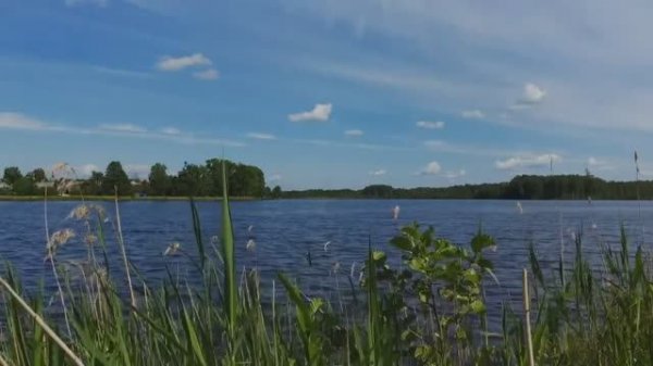 Слава Богу за всё