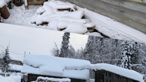 Город ушёл, пришли дрова и сугробы.