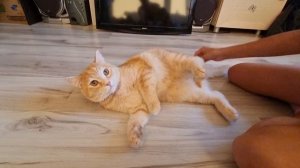 Ника и Ронька веселятся! 2025