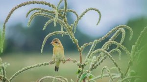 Обсуждение темы Мытари и грешники