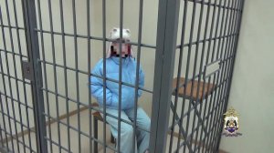 Новгородская полиция задержала пособницу аферистов, забравшую у 4-х жителей региона 2,6 млн рублей