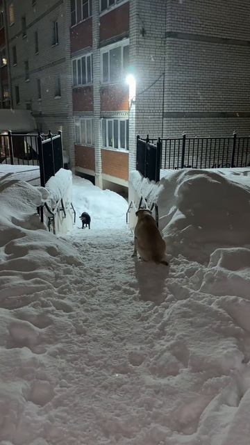 Контроль за Ланой от Ульзаны anzl.ru. смотреть онлайн