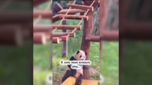 у кого так же ?😅