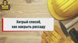 Хитрый способ как накрыть рассаду