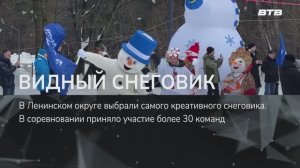 ВИДНЫЙ СНЕГОВИК