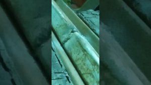 Полуавтомат порошковый, настройка