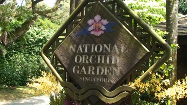 Сад орхидей г. Сингапур National Orchid Garden Singapore