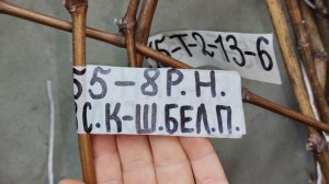 НОВИНКИ КОТОРЫЕ ЕЩЁ ЕСТЬ В ПРОДАЖЕ!!!🍇🍇🍇 Telegram, WhatsApp, Vlber и MAX+79528500417.