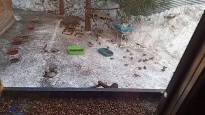 после дождичка в четверг