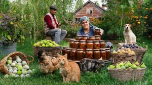 Выпечка пирожных с инжиром и приготовление свежего инжирного джема. Кухня Азербайджана