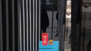 Новые трамваи "Витязь" проходят первые испытания