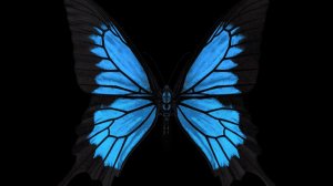 Начало свадьбы Жениха- Alexey_Xamov и Невесты - Kira_Shopolina  И переполох у Правительства: Часть 1