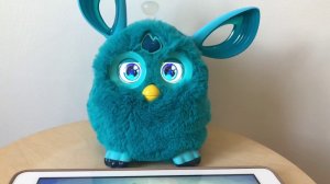 Furby, давно не виделись, август 2018