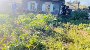 100 раз пожалела о том,что показала свой дом