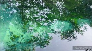 Татарстан. Заповедник Голубое озеро 9.07.24 г.