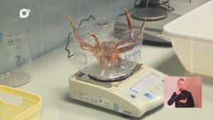 Морская / 19.02.26