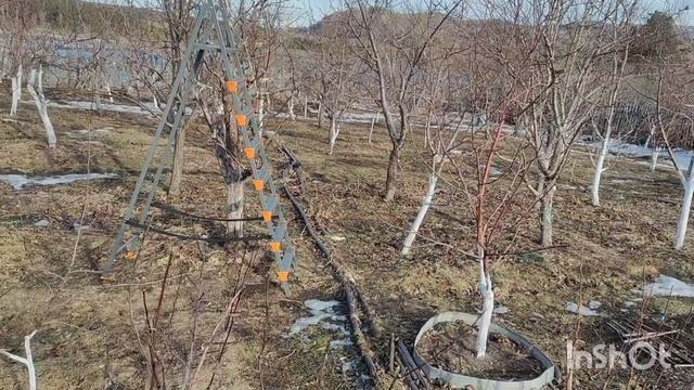 Сюрпризы февраля смотреть онлайн