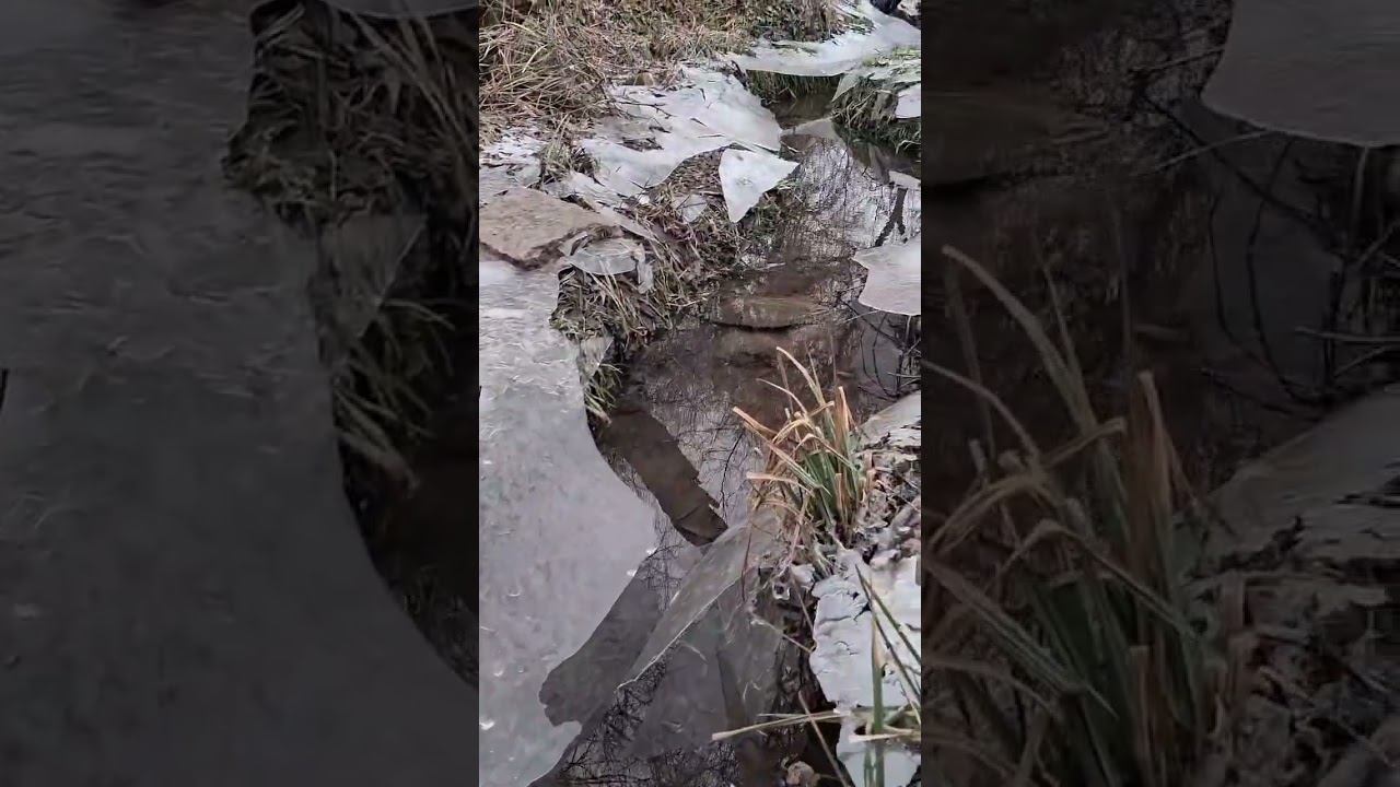 Мистерия «Влюблённые в Жизнь» на источнике Святого Даниила. Кол-в МаЭД Кропивницкого.СветланаМельник смотреть онлайн