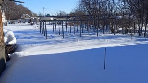 1-е посещение сада в этом году.Почему Я не ставлю теплицу.