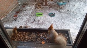 весёлый ужин