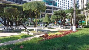 Пляж и море в Нячанге в феврале