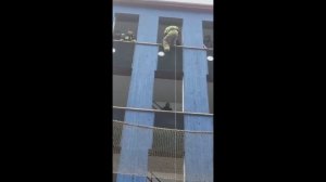 Практические занятия по ПСП