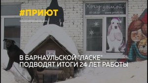 Более 800 собак и 200 кошек под одной крышей: барнаульская "Ласка" празднует 24-летие