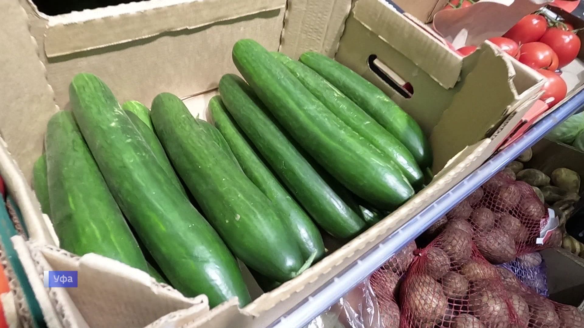 Цены на огурцы в уфимских магазинах проверила ФАС смотреть онлайн