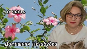 6 часть. Эх ,Толя ,Толя...