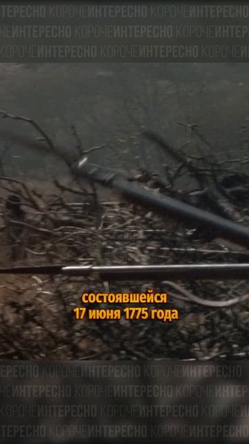 Неожиданная отсылка в мультфильме Пингвины Мадагаскара смотреть онлайн