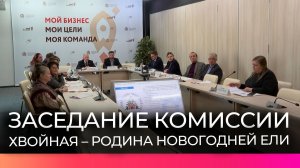 Хвойная может стать официальной родиной новогодней ели