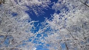 Зима нас разлучила.