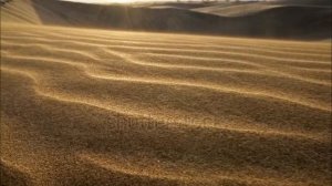 ВОТ ТАКИЕ У ПРИРОДЫ...