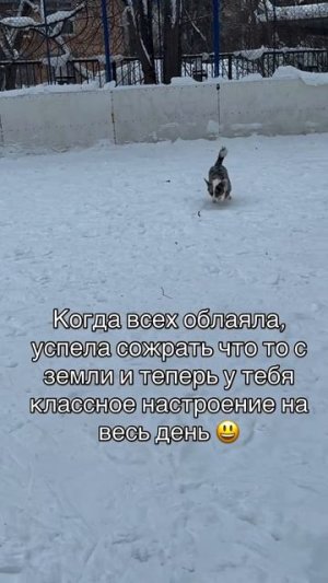 Отличное настроение