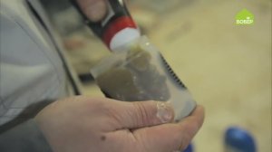 Советы для домашнего мастера. Как хранить смазку для инструментов. Лайфхак!