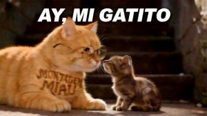 АЙ МИА ГАТИТО! МУЗЫКАЛЬНЫЙ КЛИП MIO GATITO ОФИЦИАЛЬНЫЙ МУЗЫКЛЬНЫЙ КЛИП ! РЕАКЦИЯ (ЛЕГЕНДА)